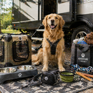 RV Dog Gear